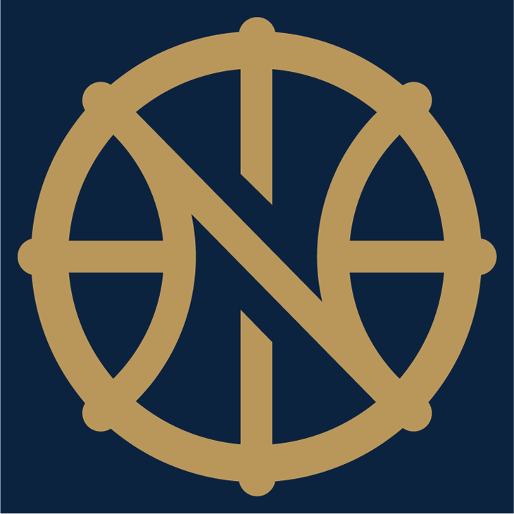 New Orleans Pelicans 2013-Pres Alternate Logo iron on transfers for fabric version 2
